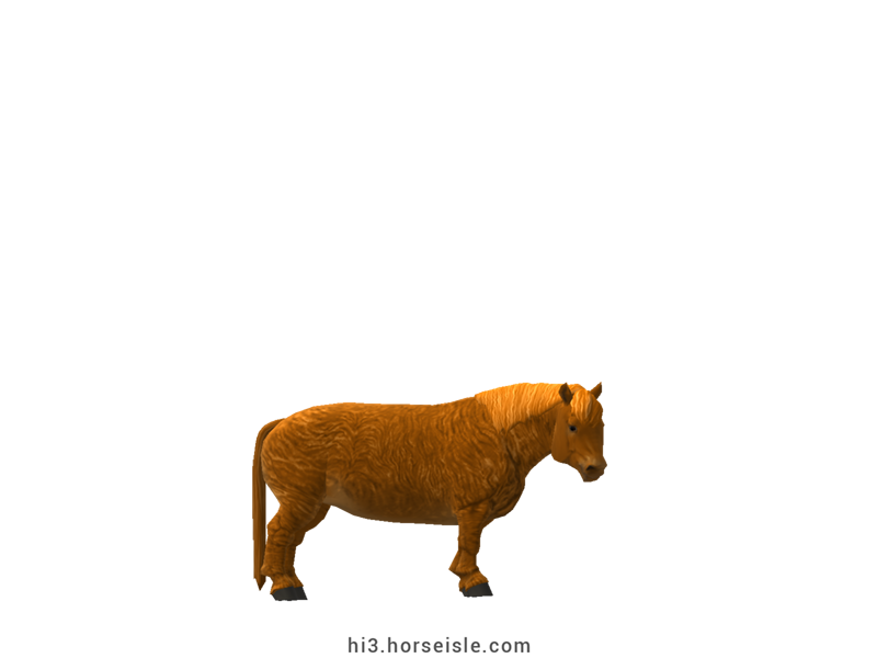 Cow-pony Highland Bright Chestnut Coat